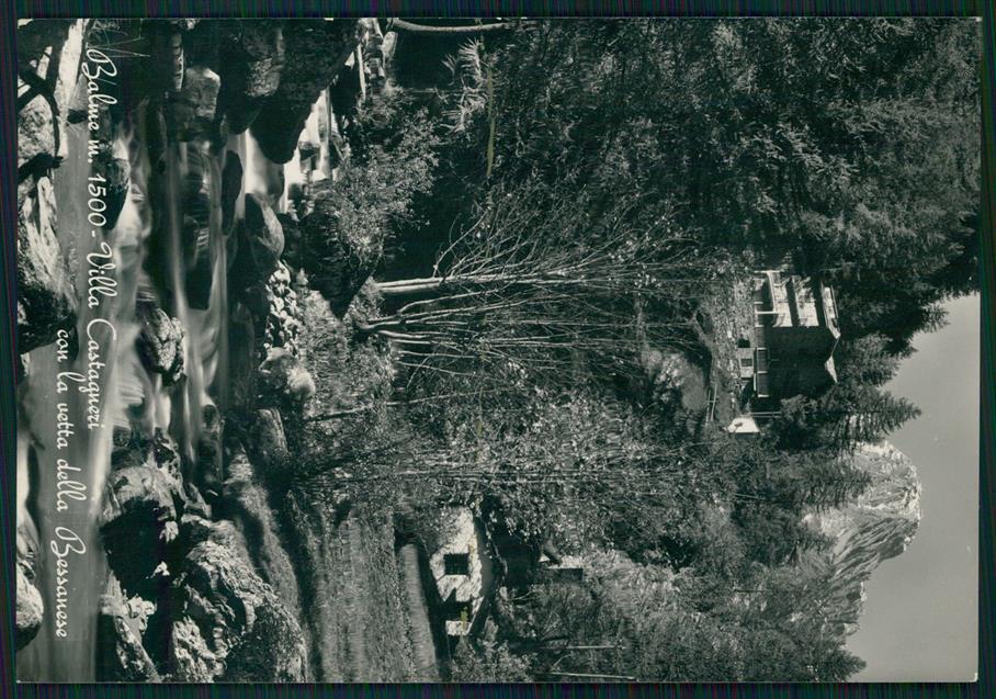 Torino Balme Villa Castagneri Bessanese Foto FG cartolina MZ4105 – fronte