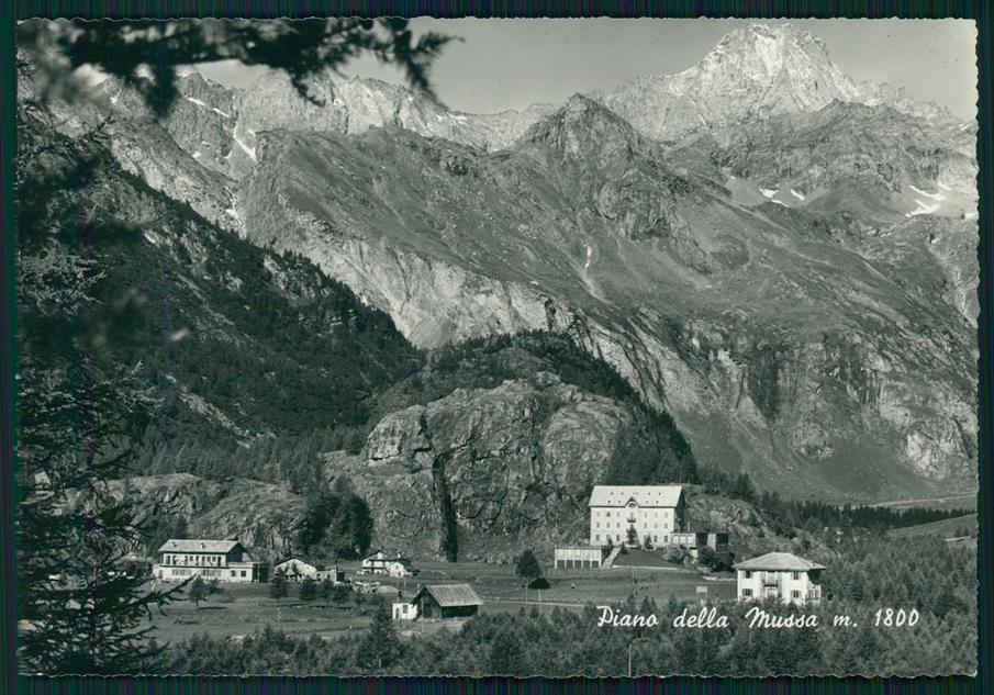 Torino Balme Pian della Mussa Foto FG cartolina MZ4110 – fronte