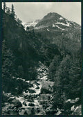 Torino Cerasole Reale Torrente Orco e Pineta Foto FG cartolina MZ4177 – fronte