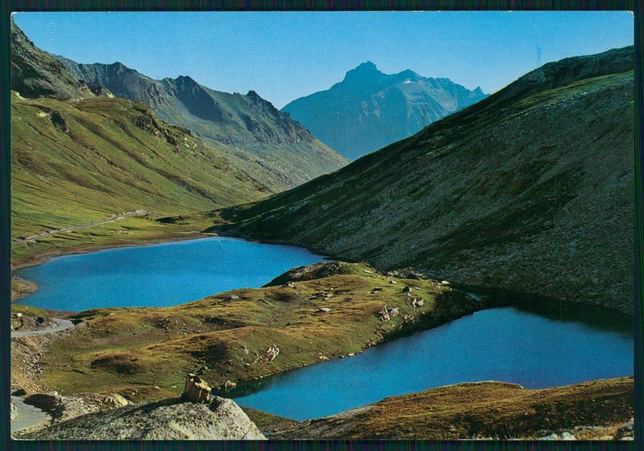 Aosta Parco Nazionale del Gran Paradiso Foto FG cartolina MZ4183 – fronte