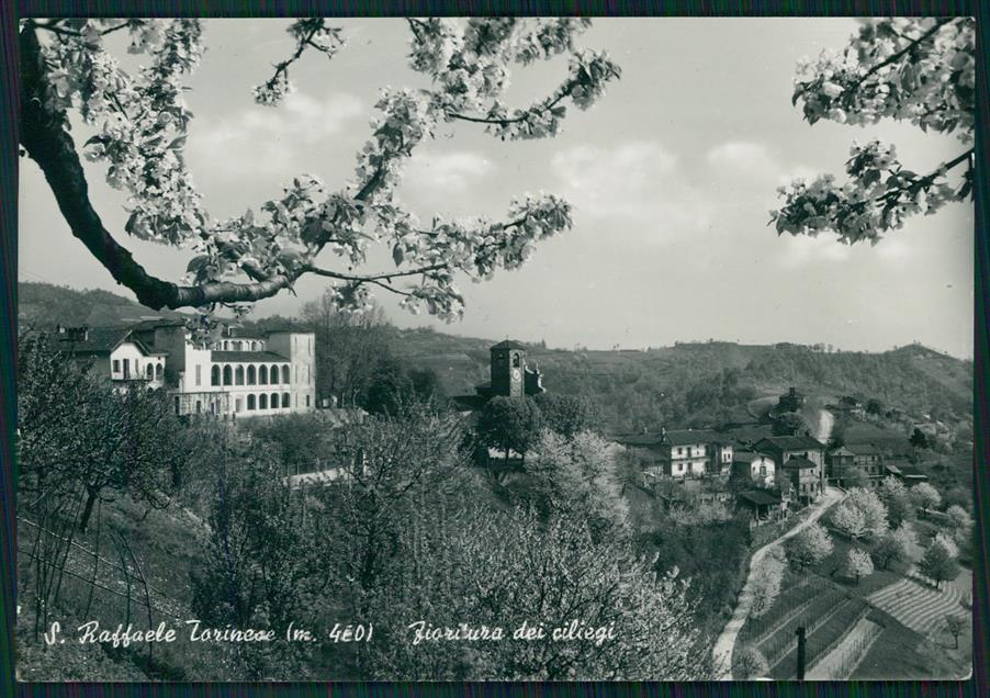 Torino San Raffaele Torinese Fioritura Ciliegi Foto FG cartolina MZ4219 – fronte