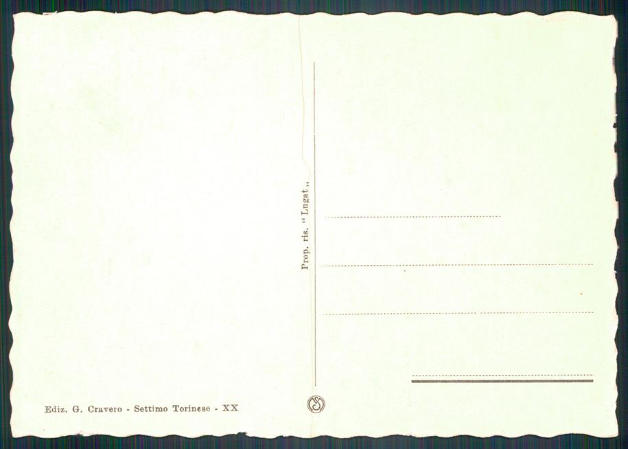 Torino Settimo Torinese Panorama FG cartolina MZ4234 – retro