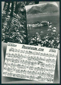 Verbania Isole Borromeo Lago Maggiore Spartito Foto FG cartolina MZ4350 – fronte
