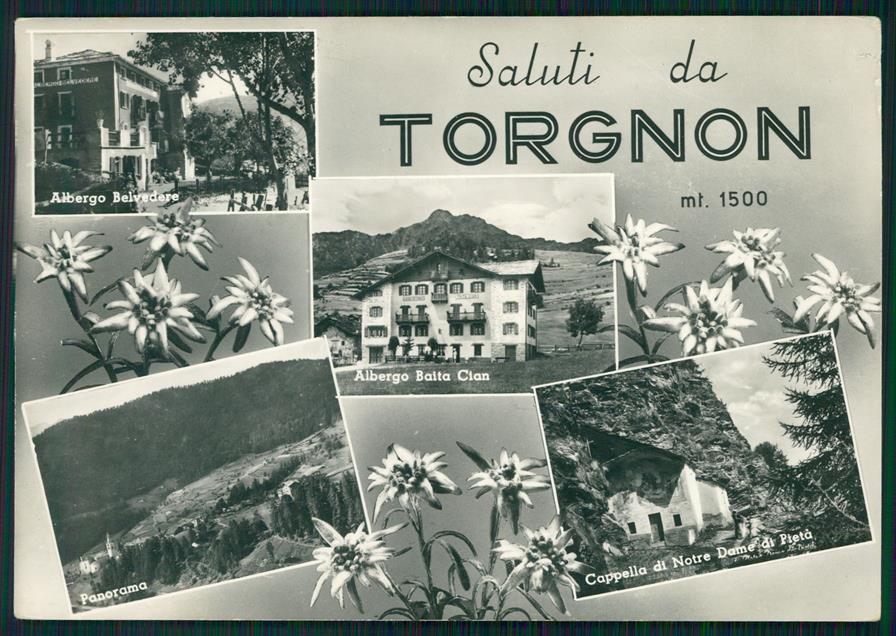 Aosta Torgnon Saluti da Stelle Alpine Foto FG cartolina MZ4429 – fronte