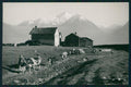Aosta Saint Nicolas Mucche Foto FG cartolina MZ4481 – fronte