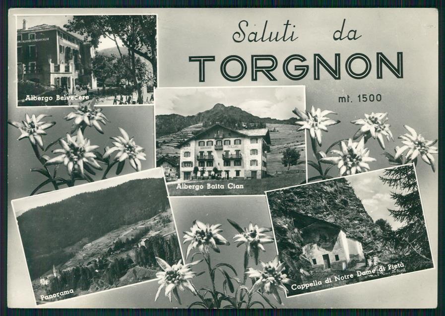 Aosta Torgnon Saluti da Stelle Alpine Foto FG cartolina MZ4547 – fronte