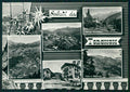 Aosta Torgnon Saluti da Foto FG cartolina MZ4548 – fronte