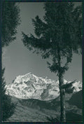 Aosta Gran Combin PIEGA Foto FG cartolina MZ4642 – fronte