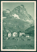 Aosta Monte Cervino Mucche FG cartolina MZ4733 – fronte