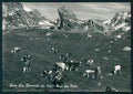 Aosta Gran San Bernardo Tour des Fons Mucche Foto FG cartolina MZ4738 – fronte