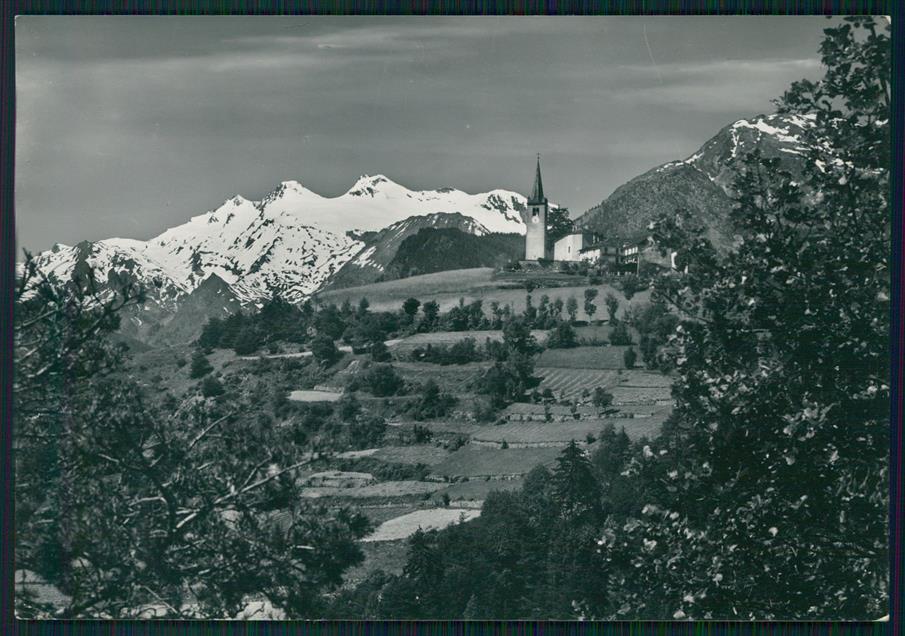Aosta Cogne Gruppo Gran Paradiso Foto FG cartolina MZ4775 – fronte