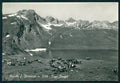 Aosta La Thuile Piccolo San Bernardo Lago Longet Mucche Foto FG cartolina MZ4789 – fronte