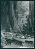 Genova Camogli San Fruttuoso Barche Cane Foto FG cartolina MZ4817 – fronte