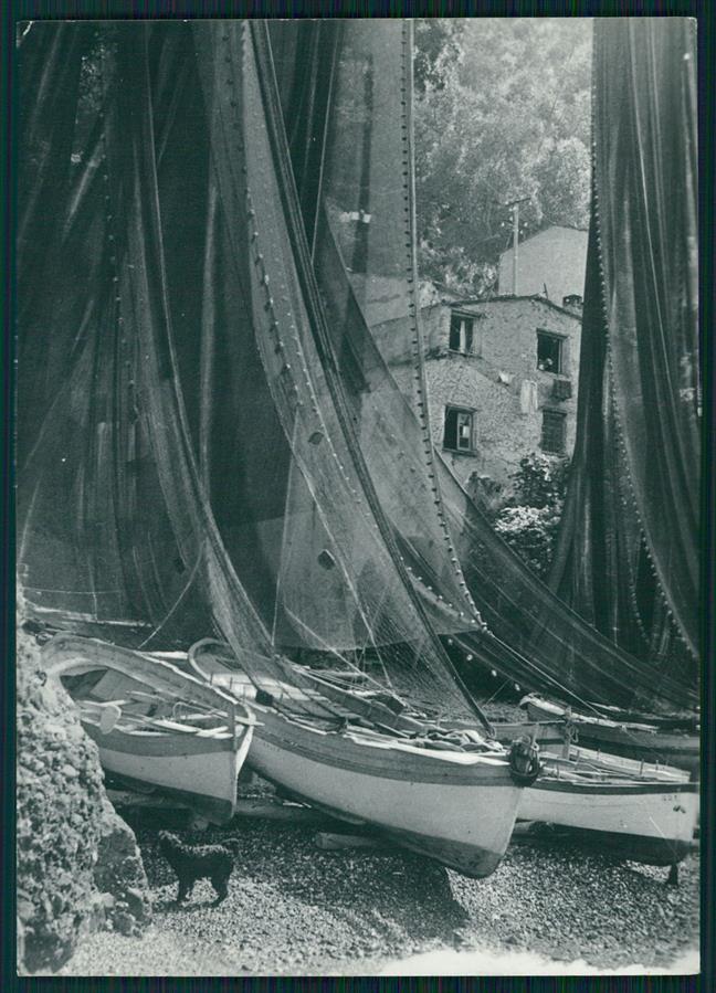 Genova Camogli San Fruttuoso Barche Cane Foto FG cartolina MZ4817 – fronte