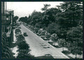 Genova Sestri Levante Viale XX Settembre Auto Foto FG cartolina MZ4824 – fronte
