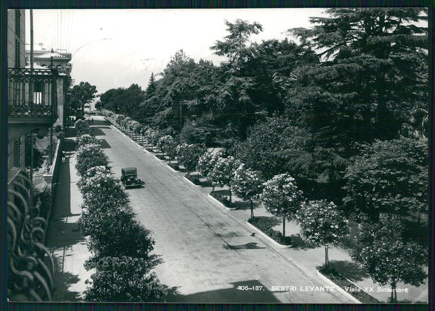 Genova Sestri Levante Viale XX Settembre Auto Foto FG cartolina MZ4824 – fronte