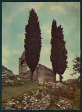 Savona Finale Ligure Finalborgo Orco Chiesa Romanica Foto FG cartolina MZ4871 – fronte