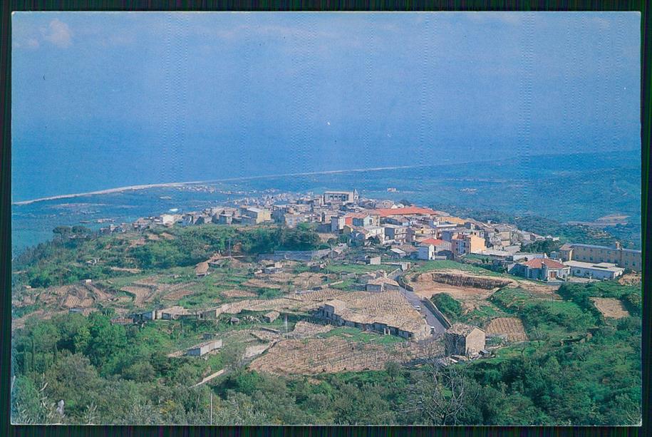 Catanzaro Sant'Andrea Jonio FG cartolina MZ4935 – fronte