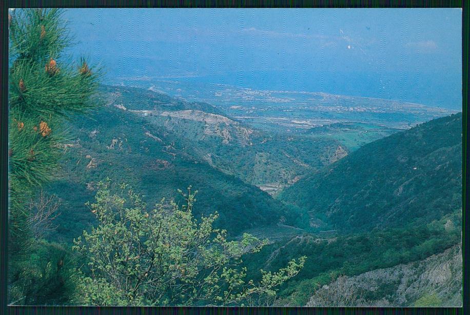Catanzaro Sant'Andrea Jonio FG cartolina MZ4936 – fronte