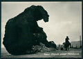 Sassari Castelsardo Pietra Elefante Foto FG cartolina MZ4957 – fronte