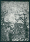 Perugia Assisi San Francesco Giotto PIEGHE Foto FG cartolina MZ5016 – fronte