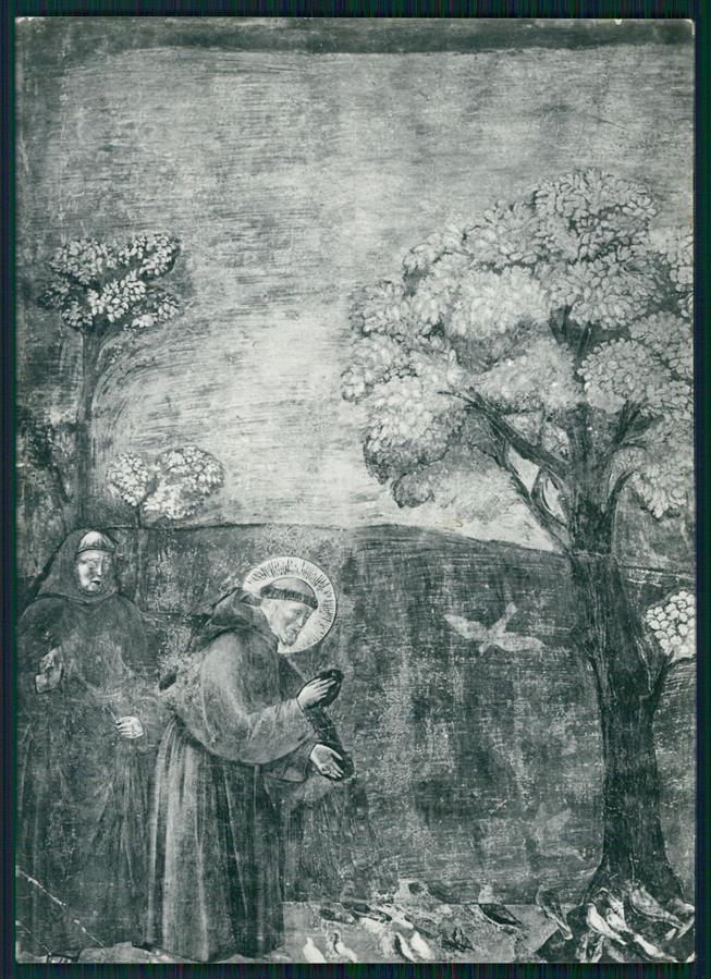 Perugia Assisi San Francesco Giotto PIEGHE Foto FG cartolina MZ5016 – fronte