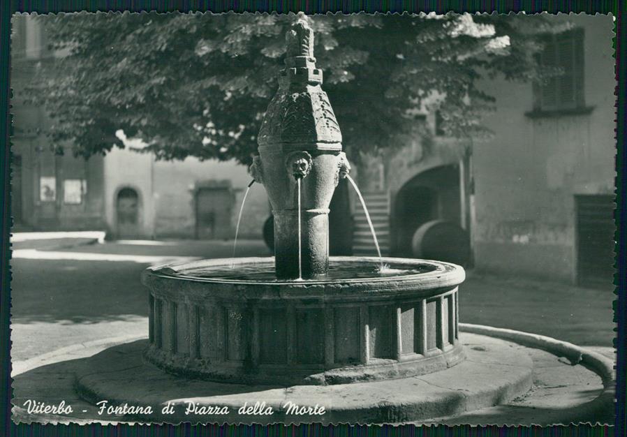 Viterbo città Fontana Piazza della Morte Foto FG cartolina MZ5051 – fronte