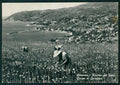 Imperia Sanremo Raccolta Garofani Foto FG cartolina MZ5072 – fronte