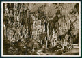Slovenia Postumia Grotte di PIEGATA Foto FG cartolina MZ5091 – fronte