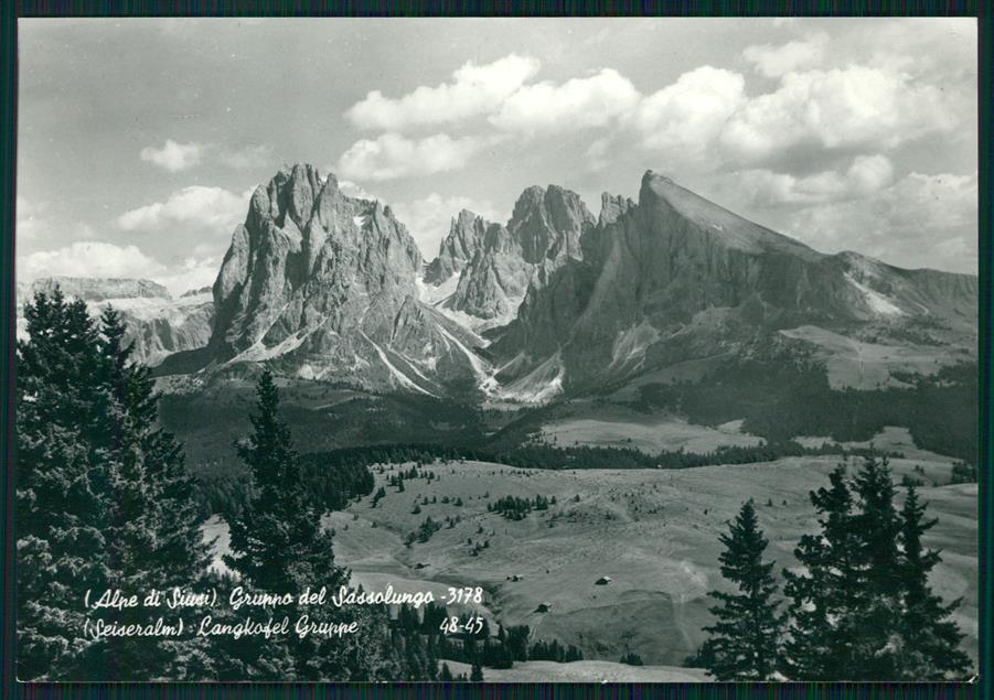 Bolzano Castelrotto Alpe di Siusi Gruppo Sassolungo Foto FG cartolina MZ5319 – fronte