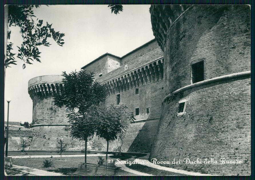 Ancona Senigaglia Rocca dei Duchi della Rovere Foto FG cartolina MZ5356 – fronte