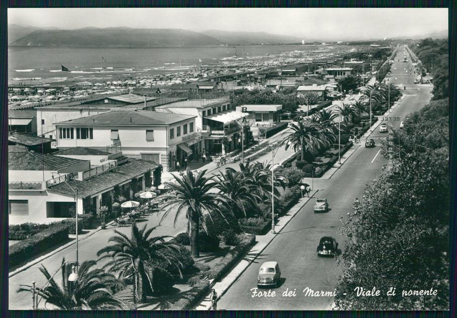Lucca Forte dei Marmi Viale di Ponente Auto Foto FG cartolina MZ5407 – fronte