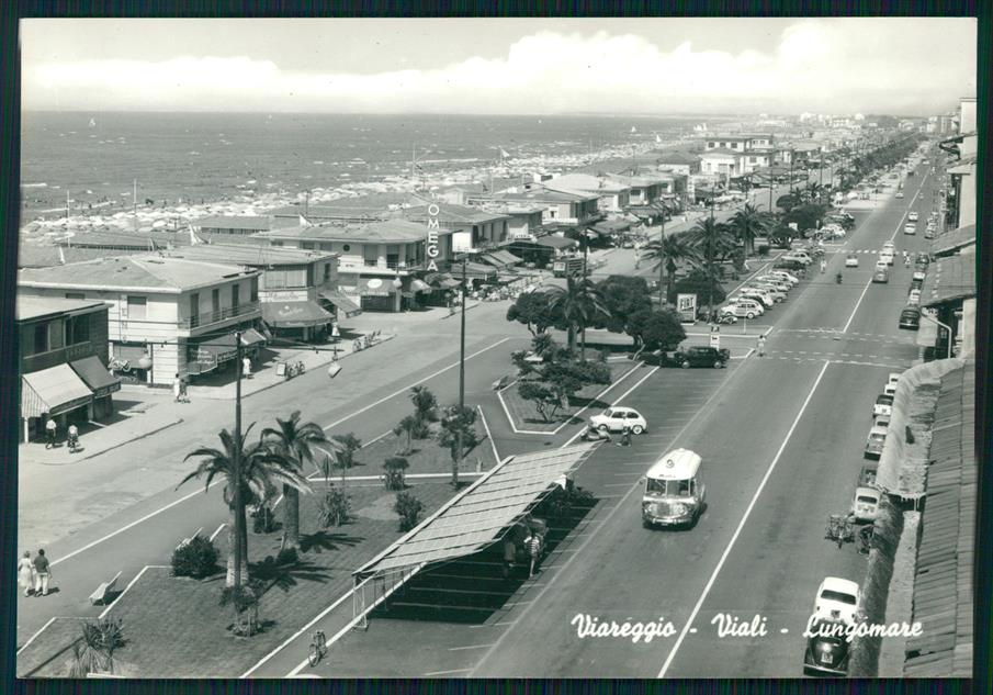 Lucca Viareggio Viali Lungomare Auto Corriera Foto FG cartolina MZ5414 – fronte