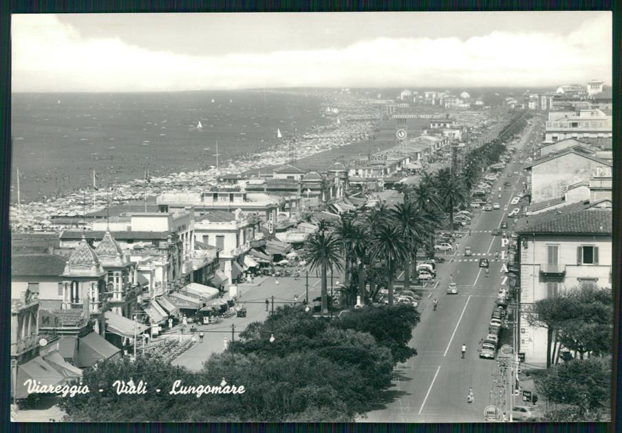 Lucca Viareggio Viali Lungomare Auto Foto FG cartolina MZ5415 – fronte