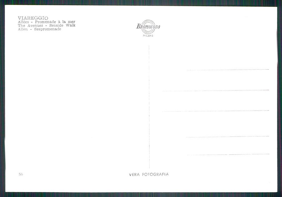 Lucca Viareggio Viali Lungomare Auto Foto FG cartolina MZ5415 – retro