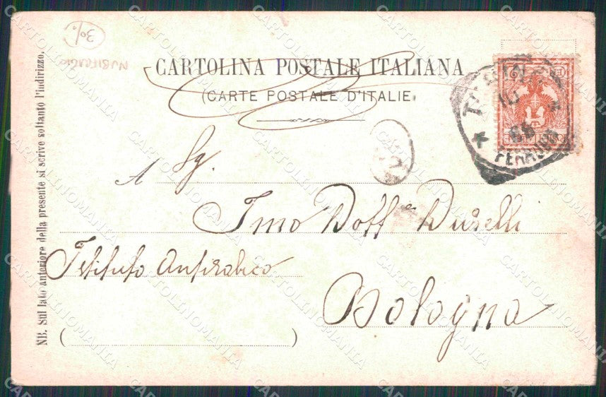 Torino Città Mole Antonelliana Dopo Nubifragio cartolina MZ6435 – retro