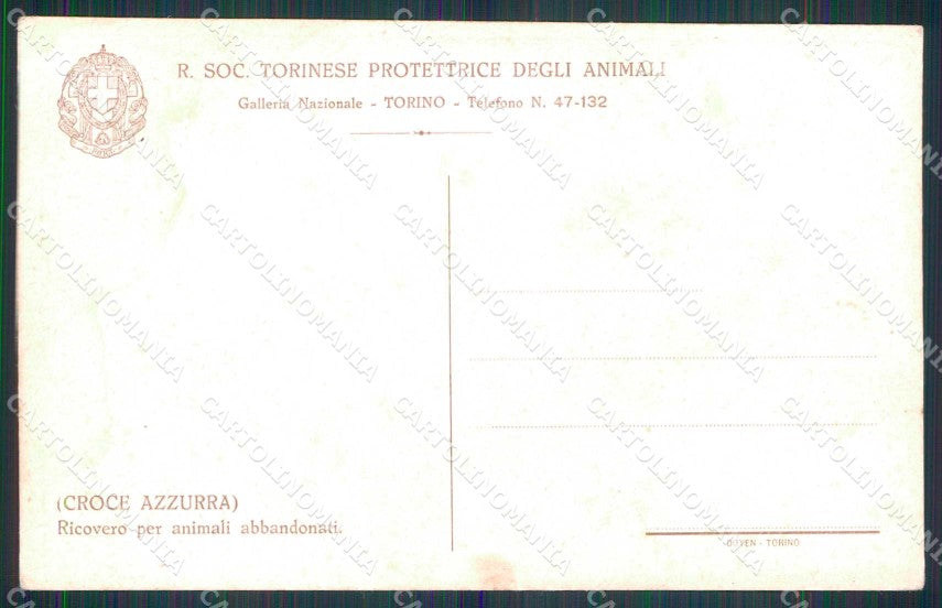 Torino Città Ricovero Animali Abbandonati Croce Azzurra cartolina MZ6958 – retro