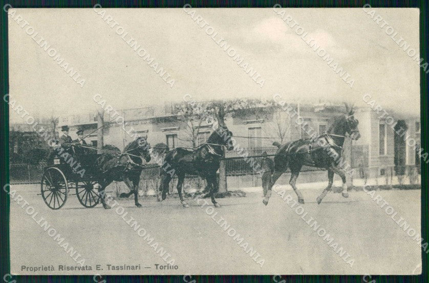 Torino Città Carrozza Cavalli cartolina MZ6972 – fronte