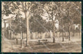Torino Città Ospedale Gradenigo Corso Regina Margherita Foto cartolina MZ7336 – fronte