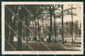 Torino Città Giardino Tramway Palazzo Reale PIEGHINA cartolina MZ8021 – fronte