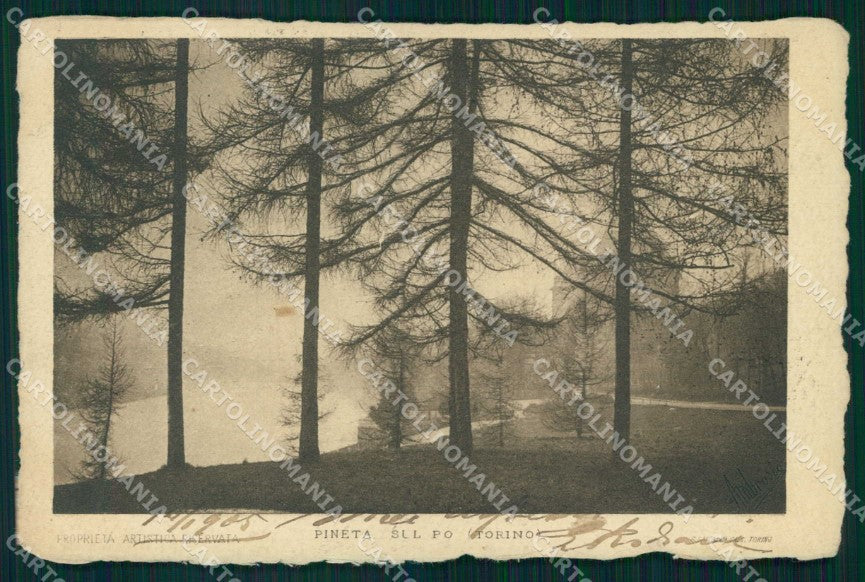 Torino Città Fiume Po Pineta cartolina MZ9003 – fronte