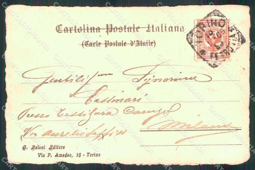 Torino Città Fiume Po Pineta cartolina MZ9003 – retro