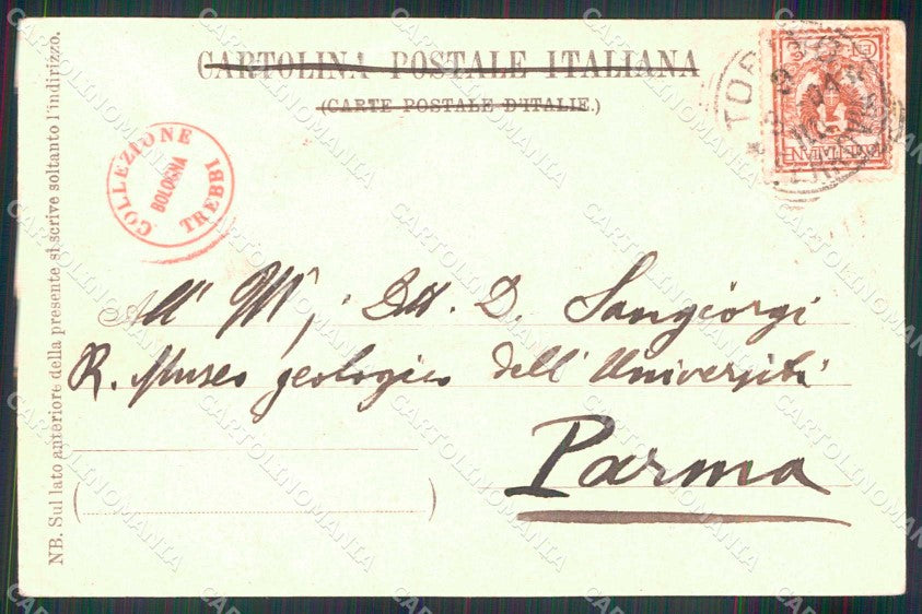 Torino Città Saluto da Castello del Valentino cartolina MZ9024 – retro