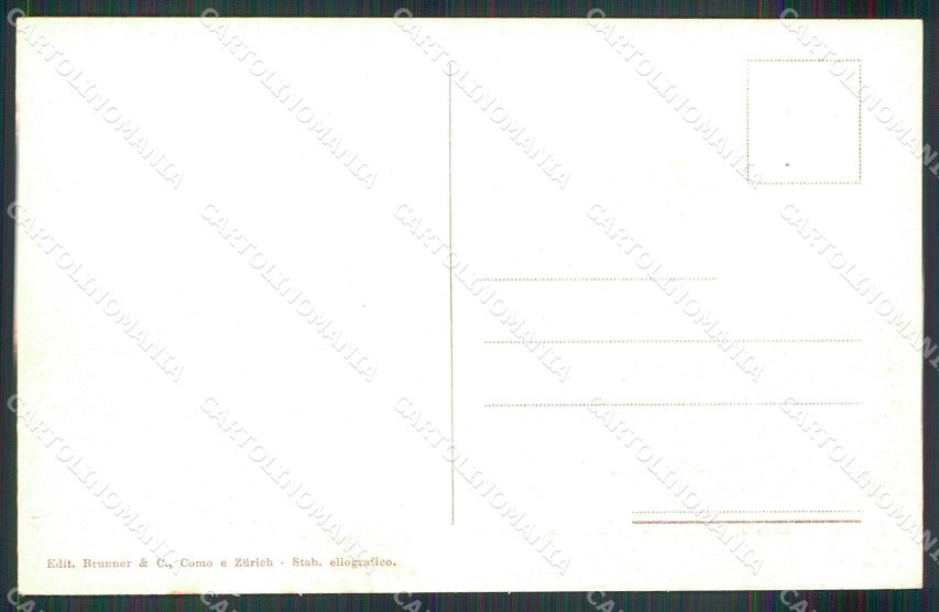 Torino Città Castello del Valentino Brunner 4586 cartolina MZ9030 – retro
