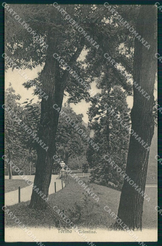 Torino Città Parco Valentino Brunner 4789 cartolina MZ9071 – fronte