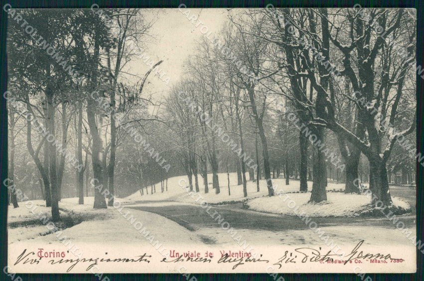 Torino Città Viale del Valentino Modiano 7380 cartolina MZ9089 – fronte