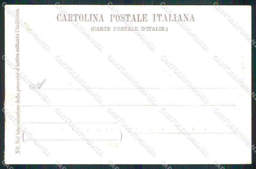 Torino Città Panorama Po Alpi cartolina MZ9377 – retro