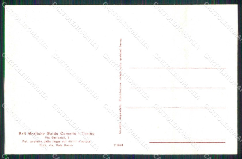 Torino Città Pecetto Castagno Secolare Via Umberto I cartolina MZ9659 – retro