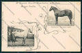 Reggio Emilia città cartolina QK0202 – fronte