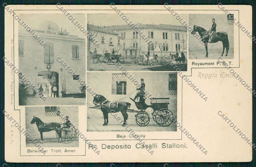 Reggio Emilia città cartolina QK0227 – fronte